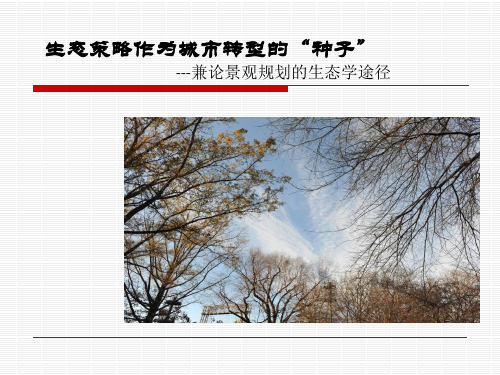 景观规划设计的生态生态学途径