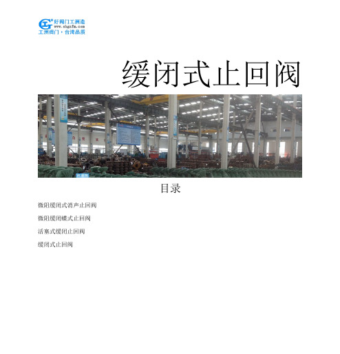 缓闭式止回阀