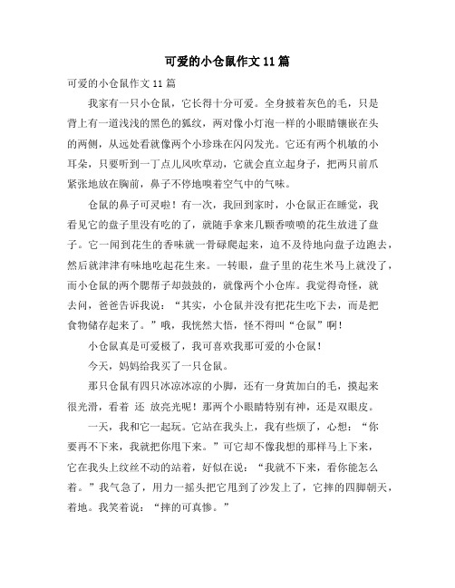可爱的小仓鼠作文11篇