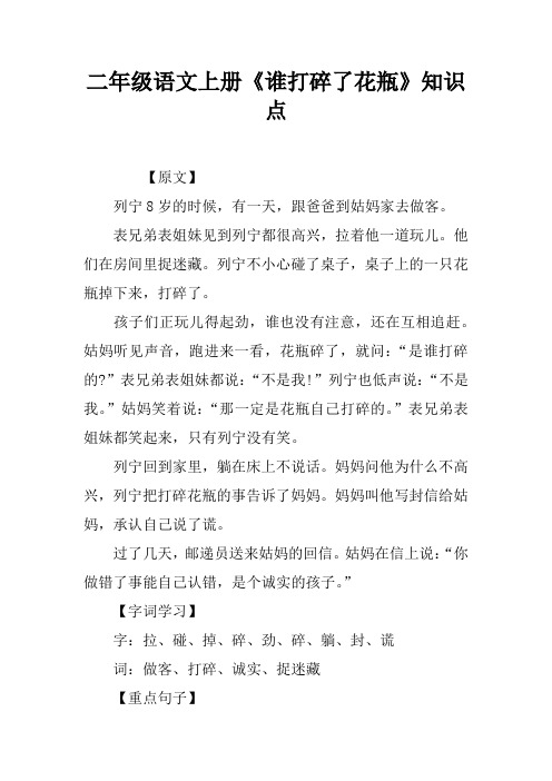 二年级语文上册《谁打碎了花瓶》知识点