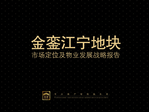 南京金銮江宁地块市场定位及物业发展战略报告_123PPT