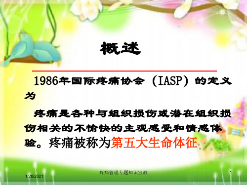 疼痛管理专题知识宣教培训课件