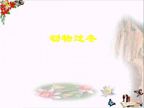 二年级语文上册动物过冬ppt课件2浙教版