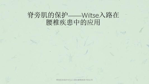 脊旁肌的保护Wiltse入路在腰椎疾患中的应用课件