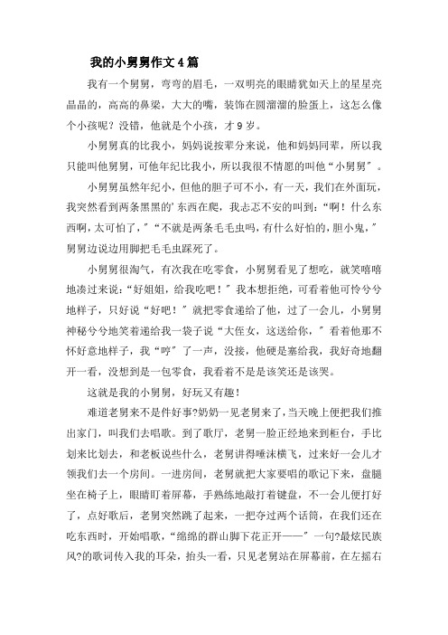 我的小舅舅作文4篇精选