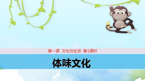 高中政治必修3优质课件4：1.1 体味文化