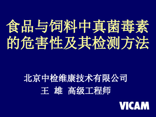 黄曲霉毒素