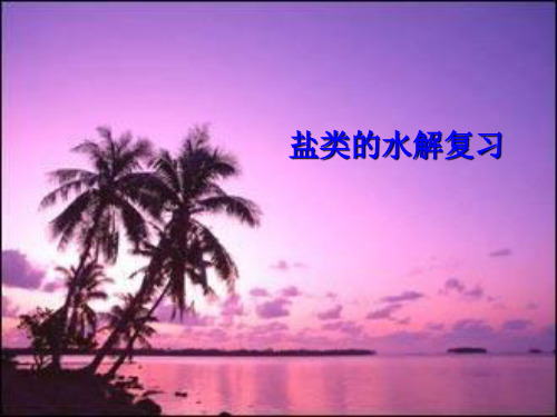 沪科版高中化学高一下册-7.3盐溶液的酸碱性-盐类的水解复习  课件(共14张PPT)