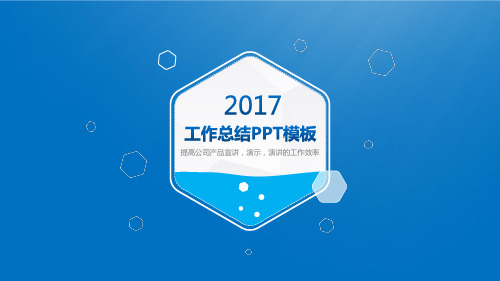 农药工作总结年终总结PPT模板
