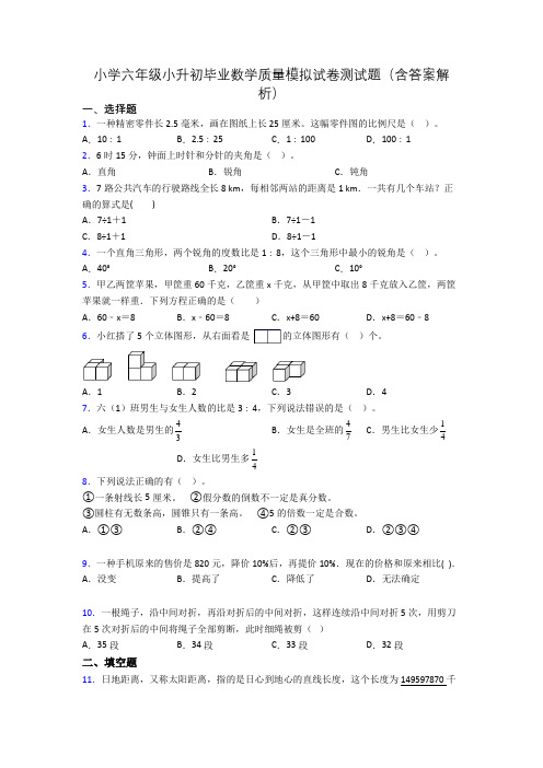 小学六年级小升初毕业数学质量模拟试卷测试题(含答案解析)