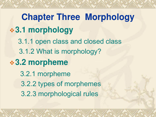英语语言学 形态学 Morphology