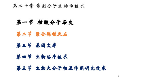 第二节  聚合酶链反应-PPT