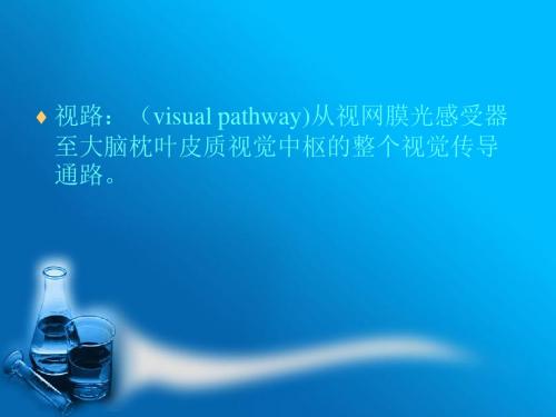 视神经及视路疾病