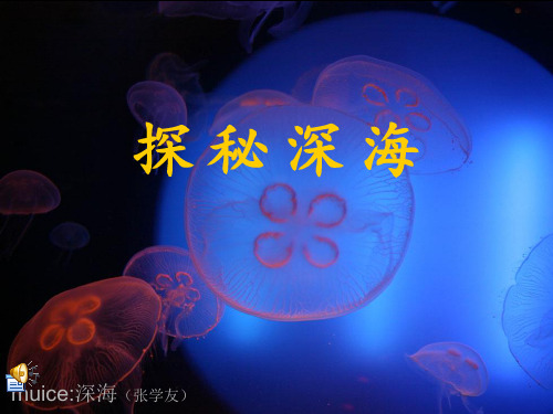 海洋之美——探秘深海描述