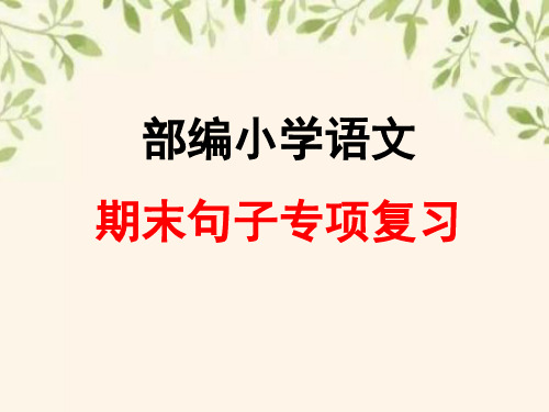 部编小学语文句型专项复习PPT