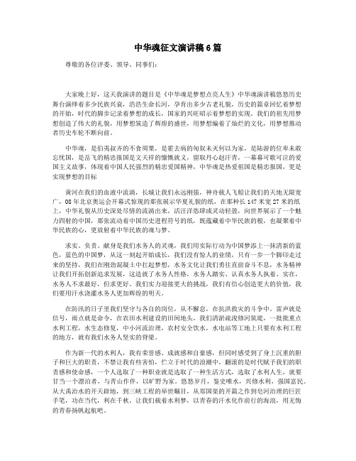 中华魂征文演讲稿6篇