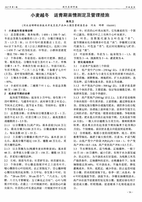 小麦越冬 返青期苗情测定及管理措施