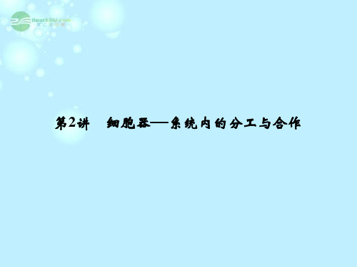 高考生物一轮复习 第二单元 第2讲 细胞器系统内的分工与合作课件 新人教版必修1