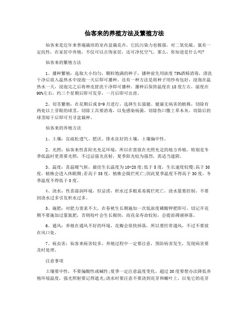 仙客来的养殖方法及繁殖方法