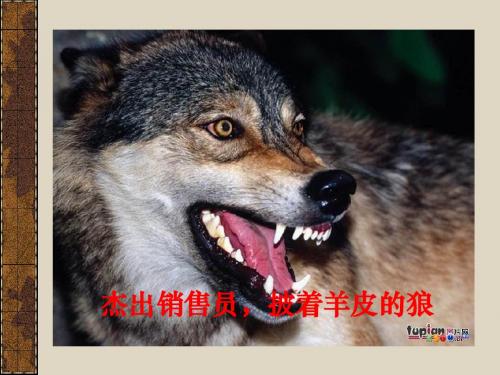狼性销售
