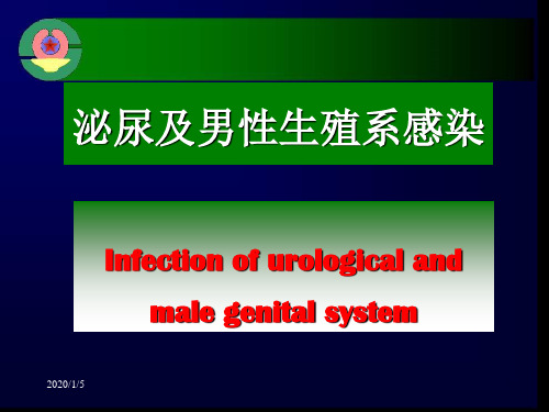 泌尿及男性生殖系感染