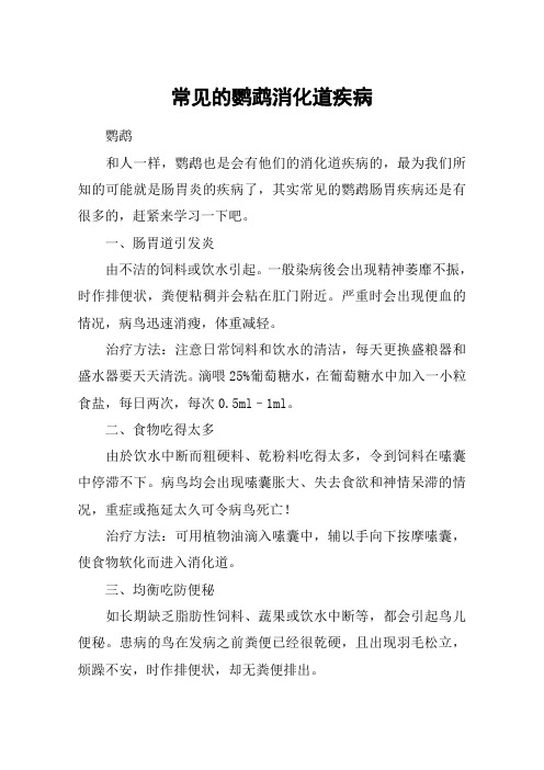 常见的鹦鹉消化道疾病