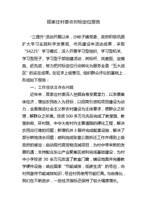 对标定位报告