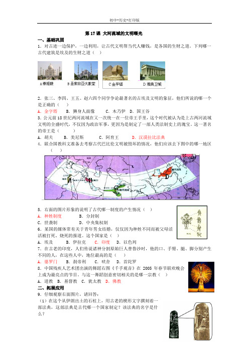 北师大版-历史-八年级下册-北师版八 下  第17课 大河流域的文明曙光