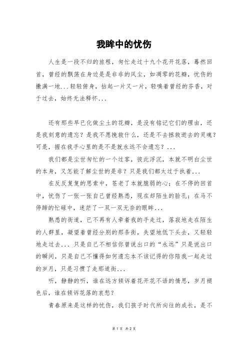 我眸中的忧伤_高二作文