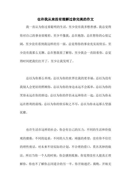 也许我从来没有理解过你完美的作文