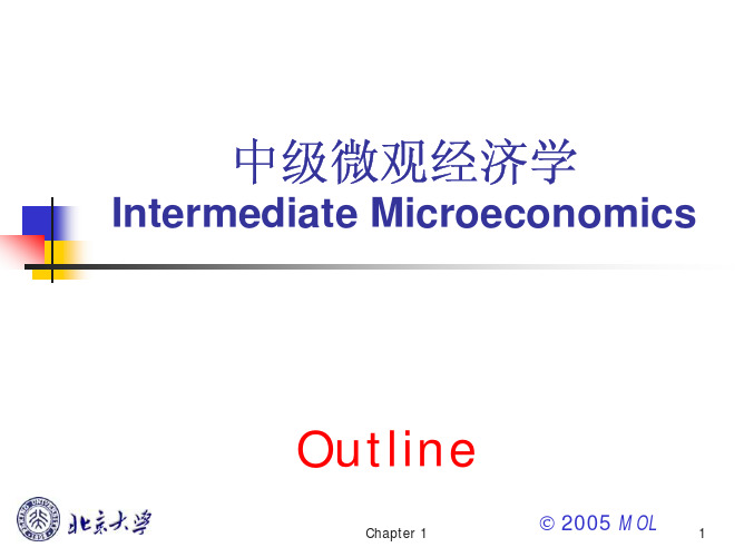 北大微观经济学讲义(张元鹏)chapter_1
