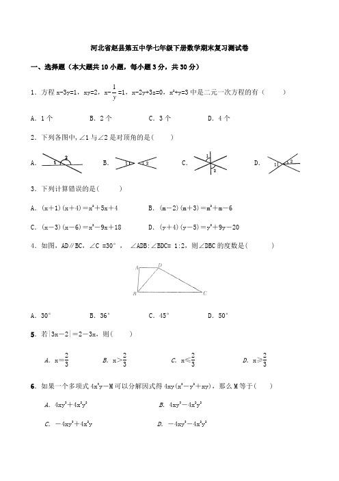 河北省赵县第五中学七年级下册数学期末复习测试卷(含答案)