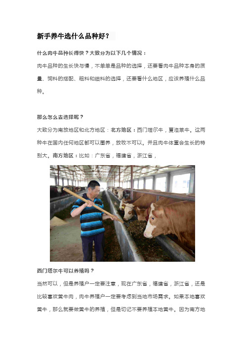 新手养牛选什么品种好