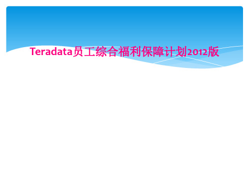 Teradata员工综合福利保障计划2012版