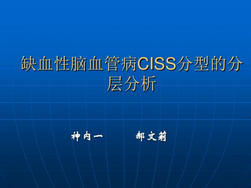 CISS讲稿