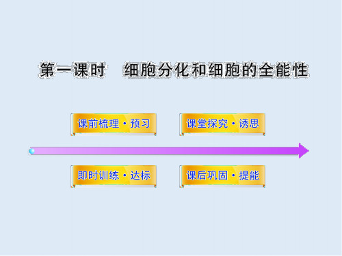 高中生物(苏教版必修1)课时讲练通配套课件：5.2.1《细胞分化和细胞的全能性》 
