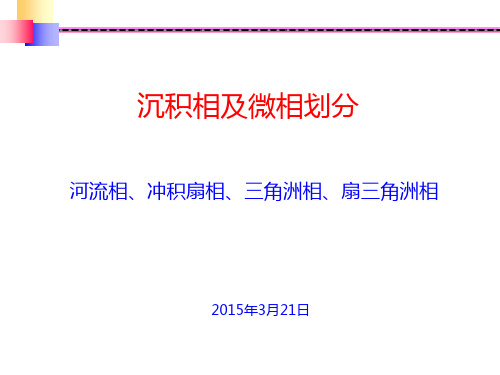 沉积相及微相划分ppt课件