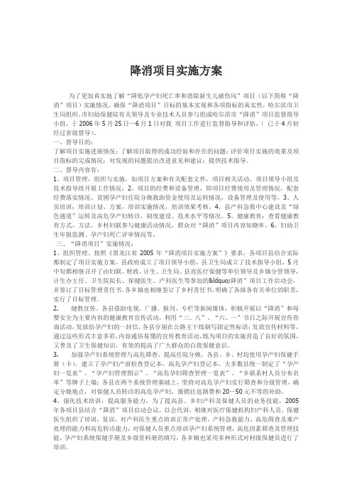 降消项目实施方案