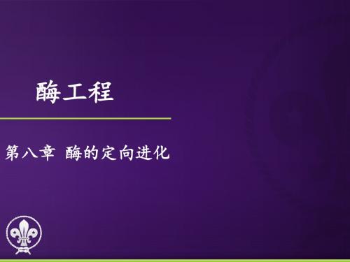 2011酶工程 第八章 酶的定向进化