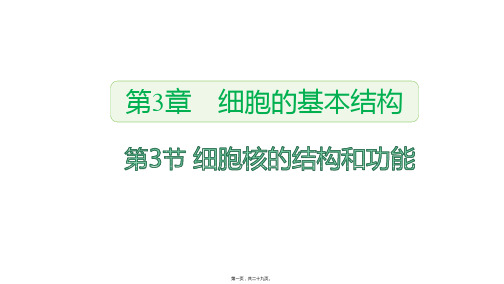 新教材人教版高中生物必修一 3.3 细胞核的结构和功能 教学课件