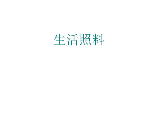 生活照料(三浴)