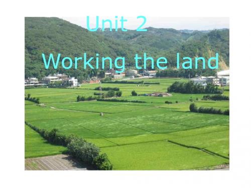 高二英语working-the-land课件2