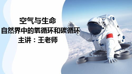3.7 自然界中的氧循环和碳循环