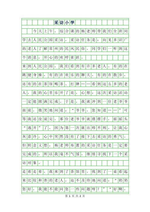 2019年采访小学500字作文