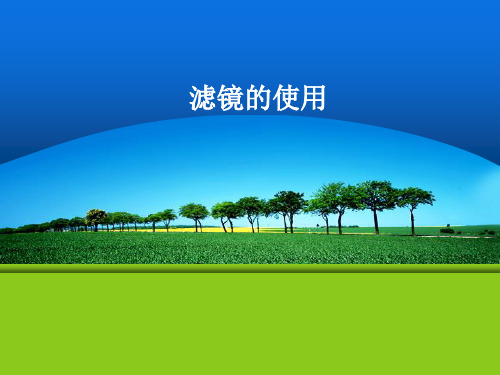 (精品) 滤镜的使用 PPT课件