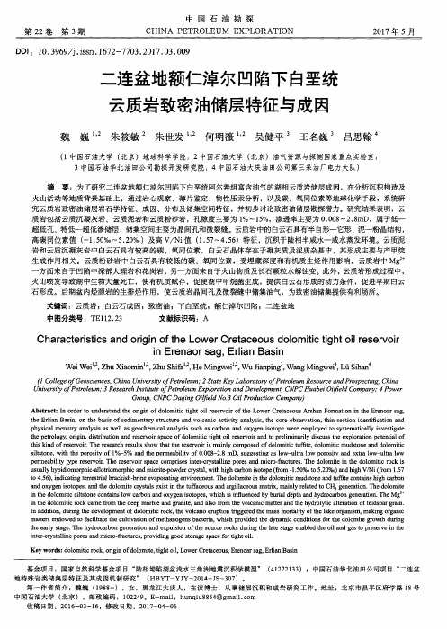 二连盆地额仁淖尔凹陷下白垩统云质岩致密油储层特征与成因