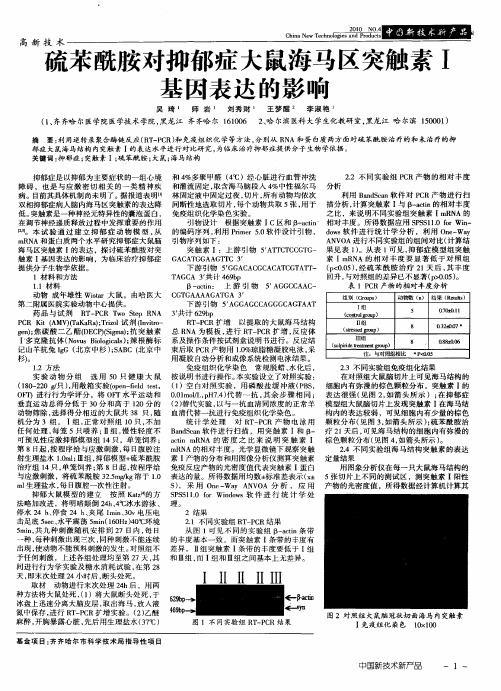 硫苯酰胺对抑郁症大鼠海马区突触素Ⅰ基因表达的影响