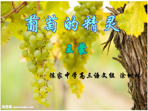 北师大高一必修1《10 葡萄的精灵》涂树林PPT课件 一等奖新名师优质课获奖比赛公开视频下载