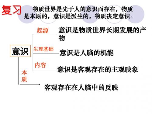 意识的作用(与导学案配套)