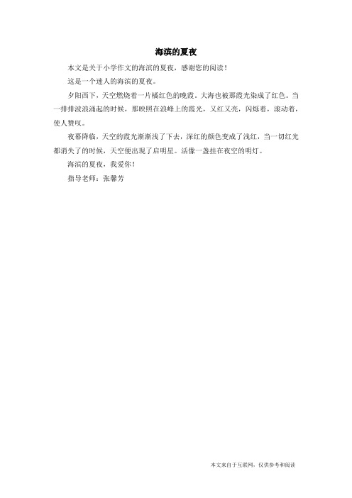 海滨的夏夜_小学作文
